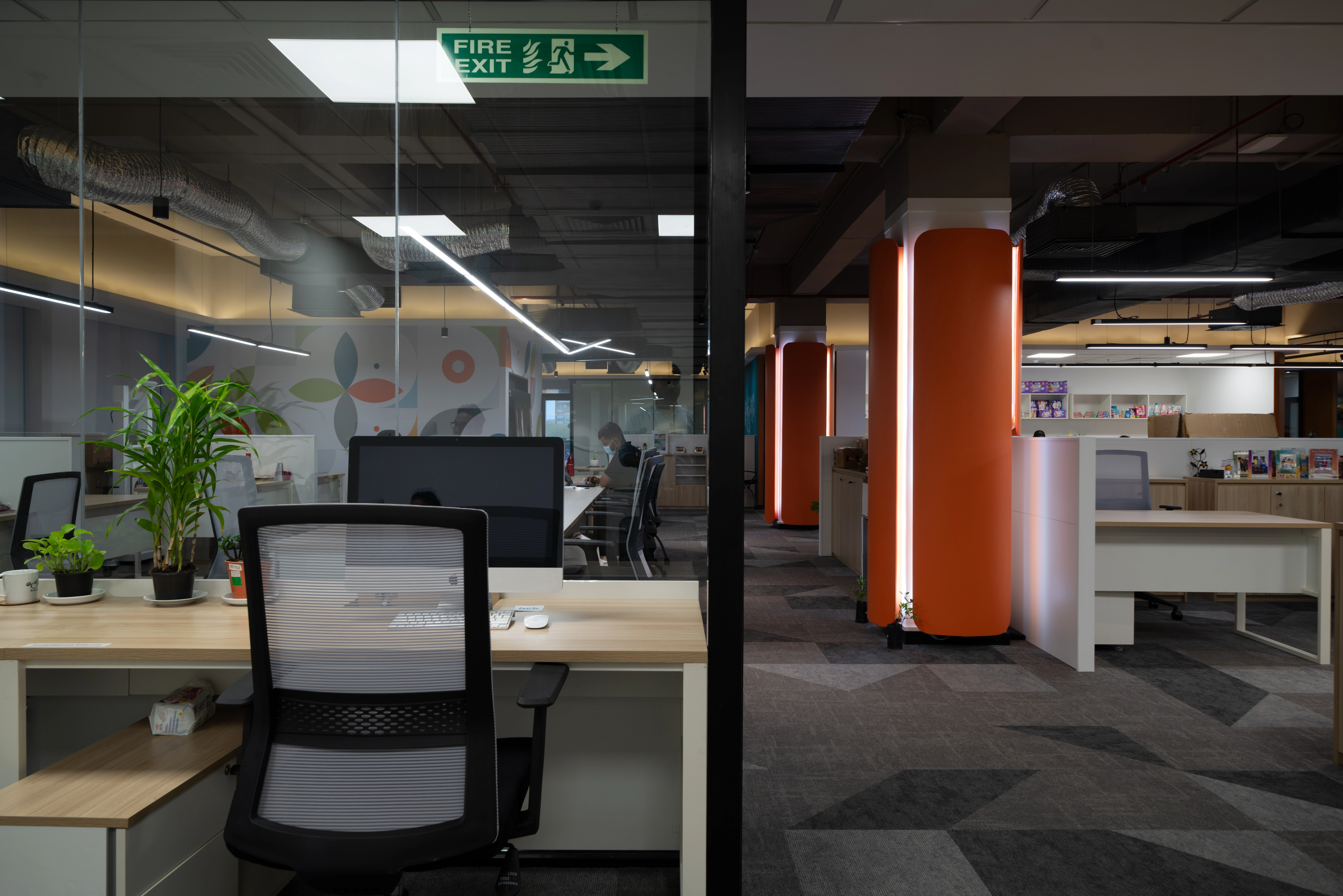 Hemas Holdings FMCG - Image 2