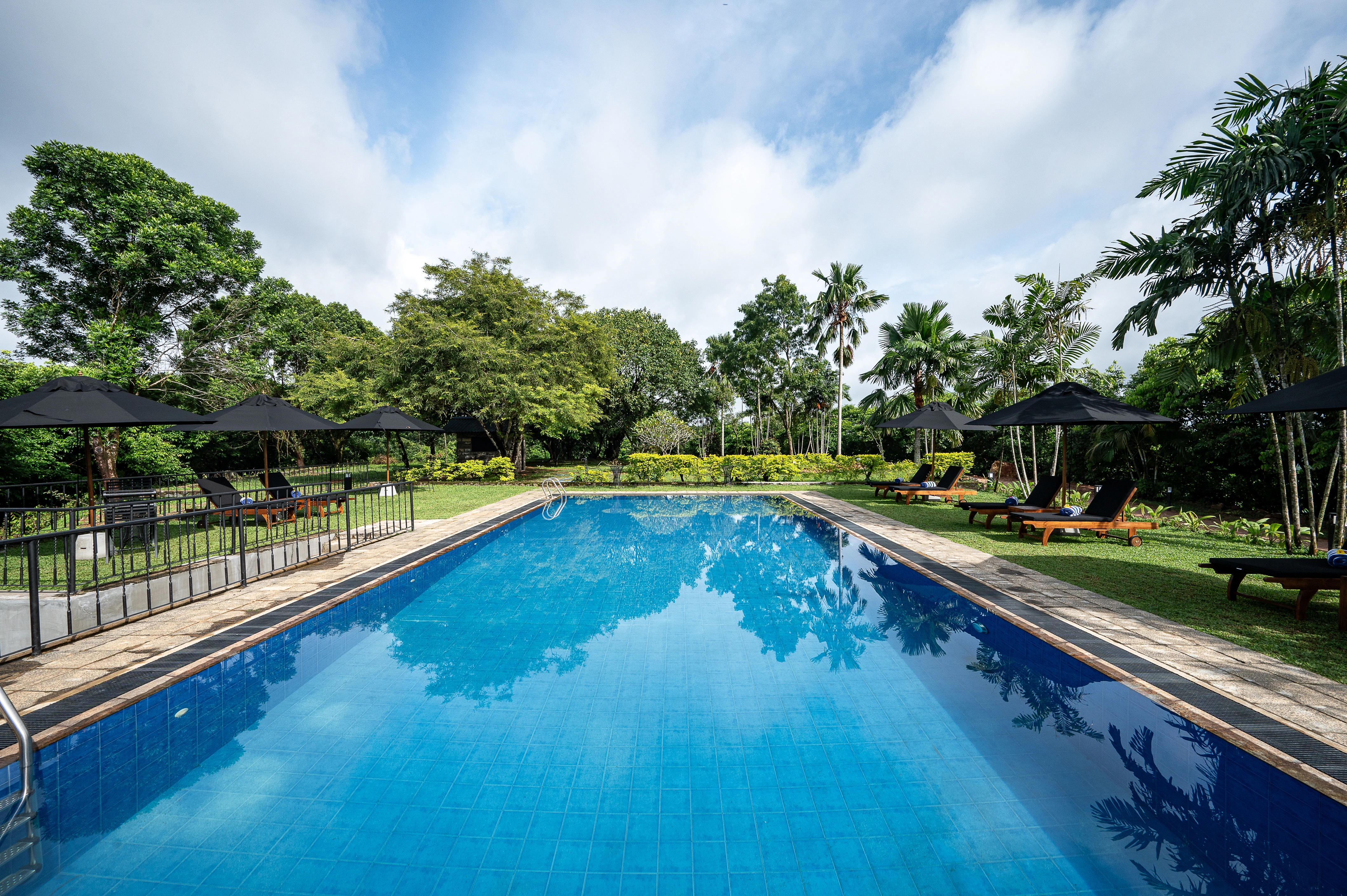 Restoration - Image 4