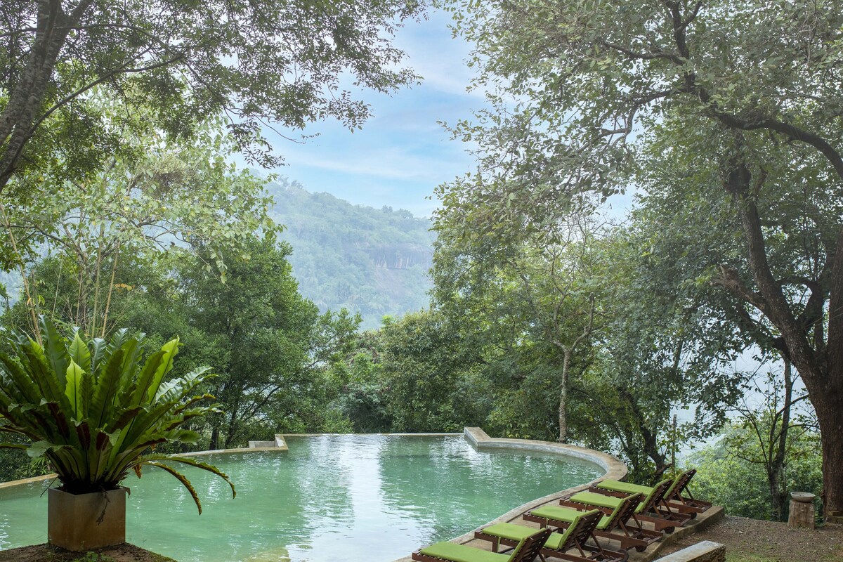 The Birds Park Resort - Image 11