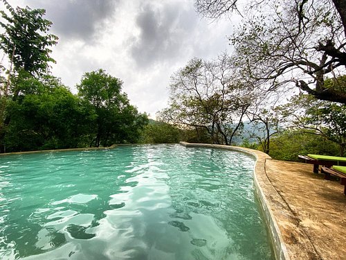 The Birds Park Resort - Image 6