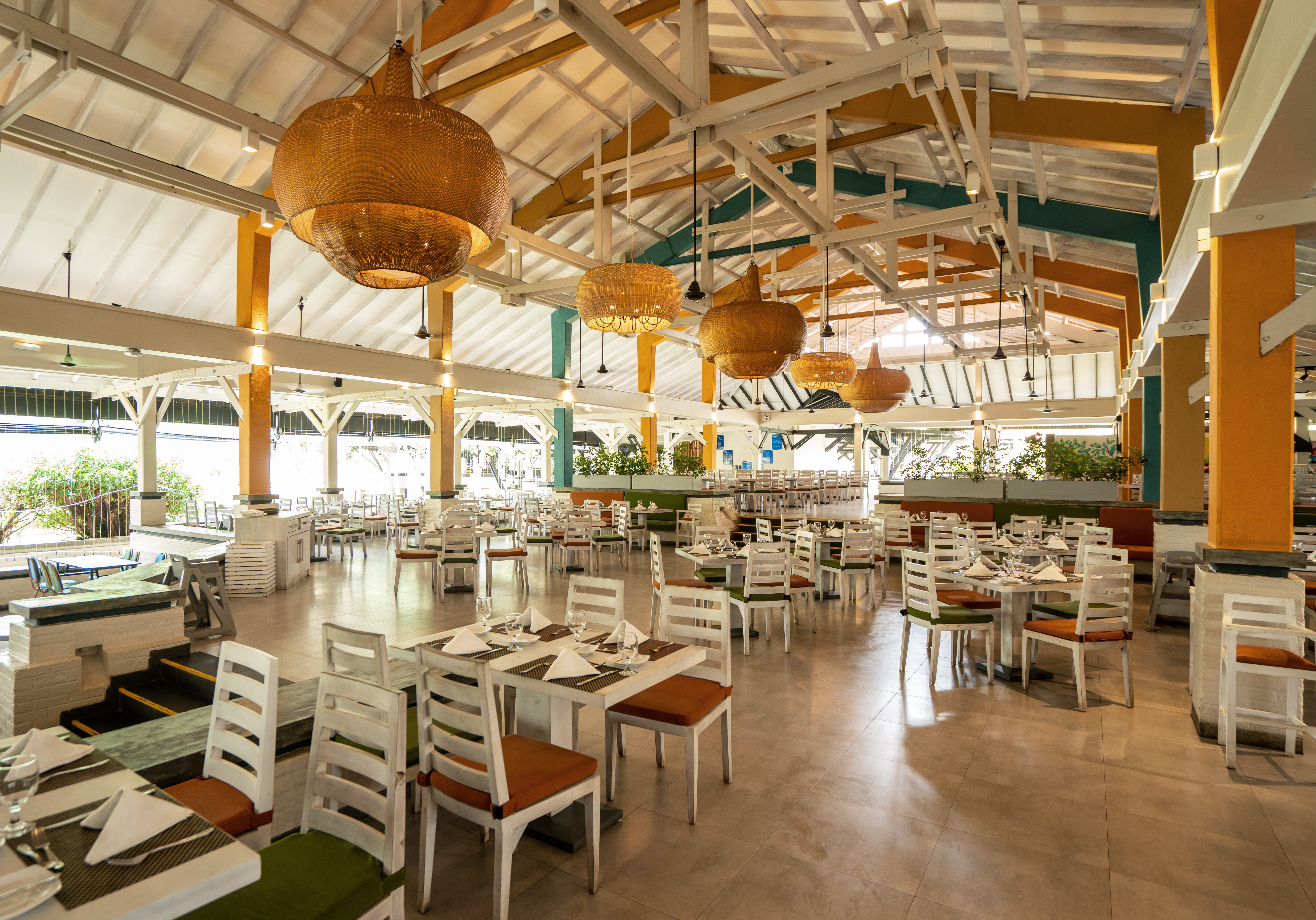 Club Dolphin - Image 12