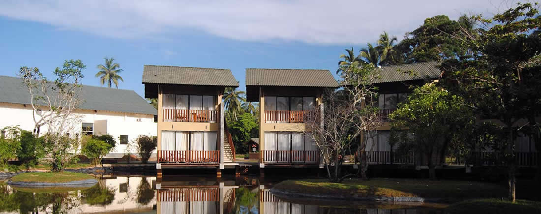 The South Lake - Image 2