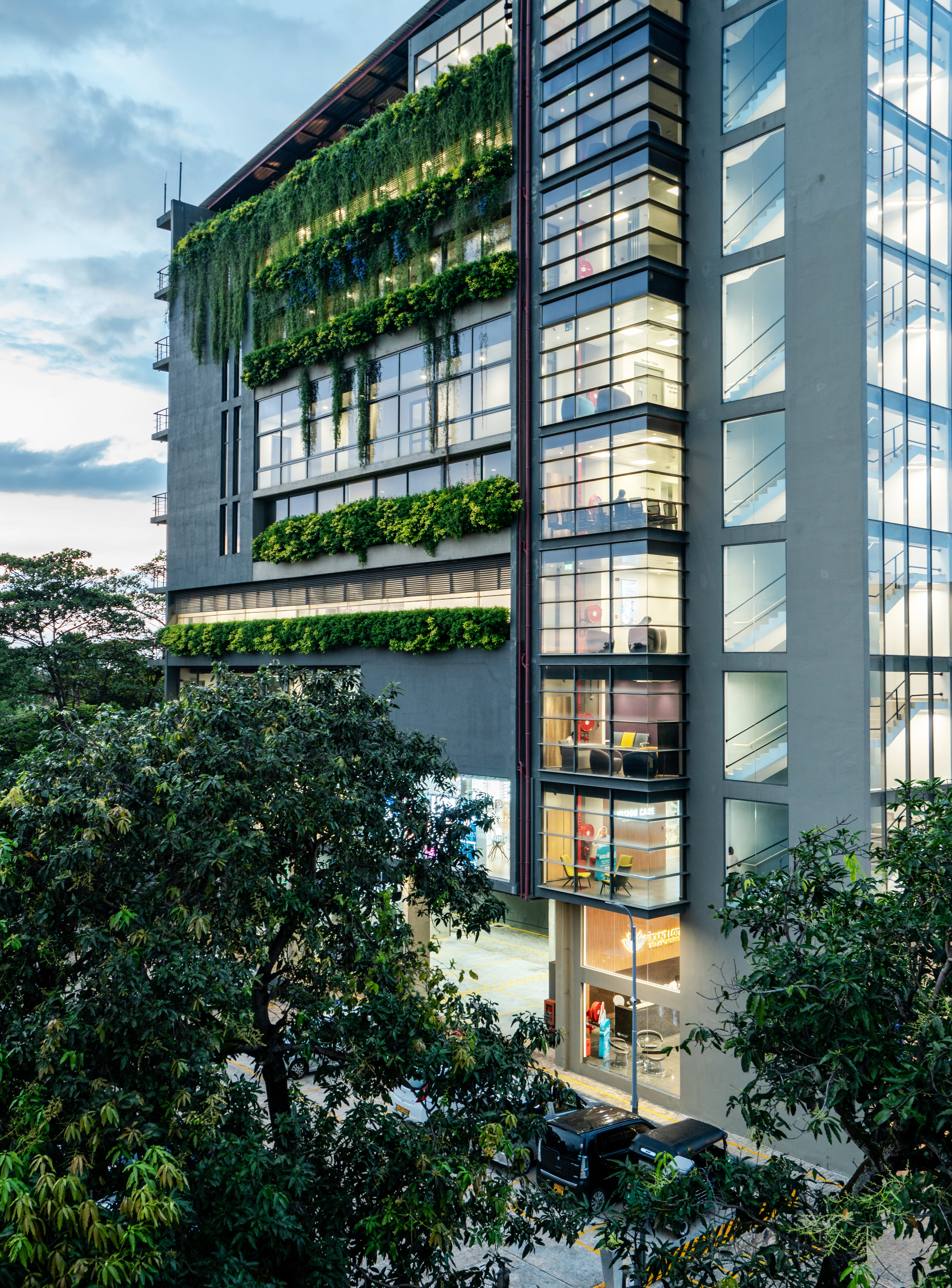 MOUNT LOTUS EYE & ENT HOSPITAL - Image 17